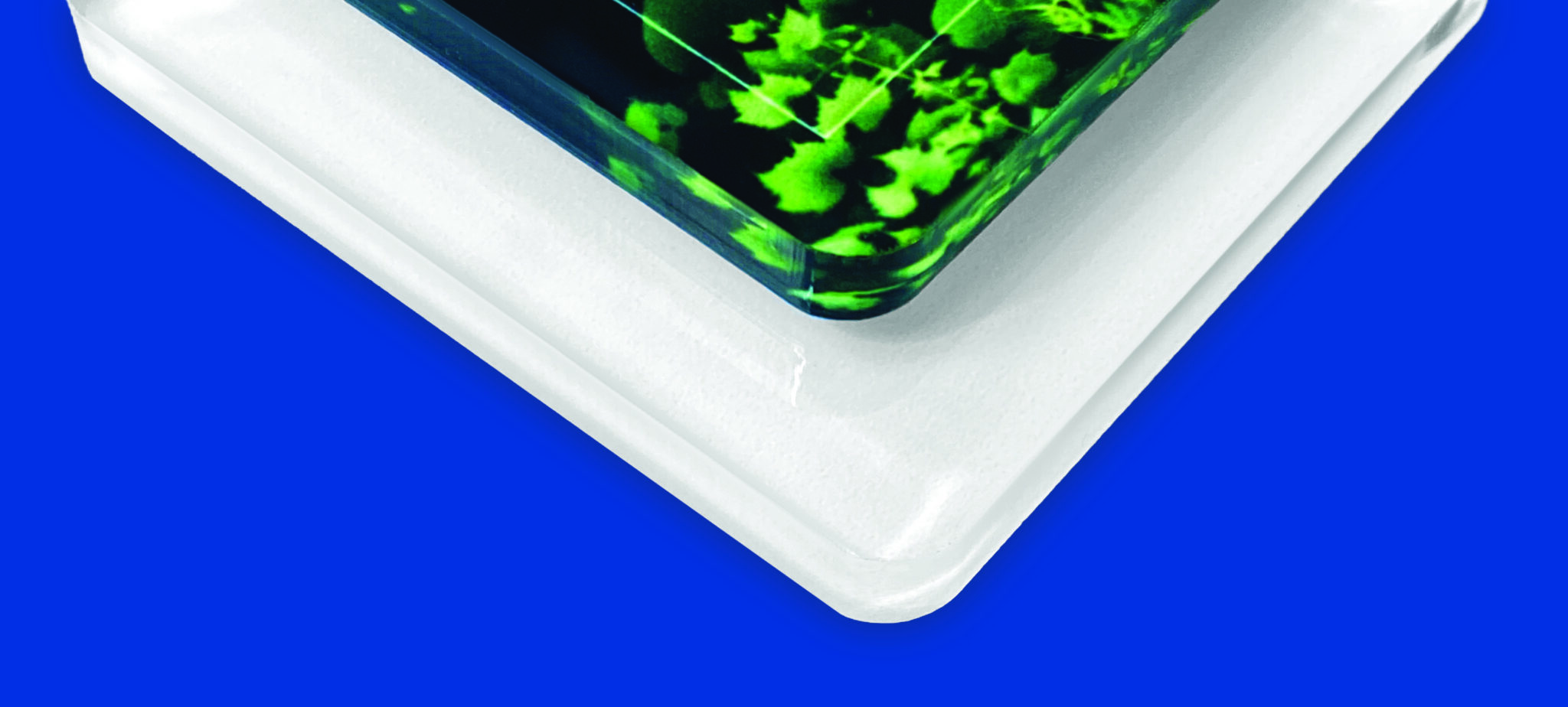 New Unisub® Acrylic Line Unlocks Vibrant Personalized Photo Gifts