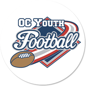 Aluminum Trophy Disk Insert - 5572