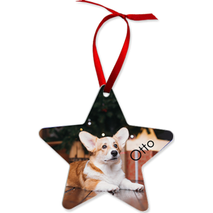 Aluminum Star Ornament, 2-Sided – 4331