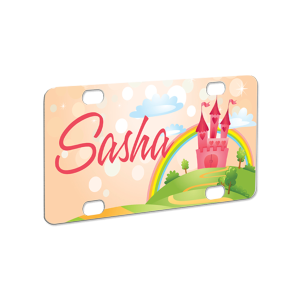 Aluminum Mini License Plate – 4565