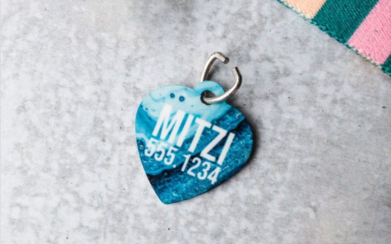 pet tag